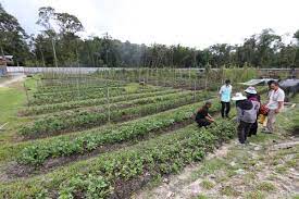 This factsheet provides background information on organic production and links to additional information. Organic Farming Catching On
