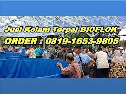 Cara Pemasangan Kolam Terpal Yang Di Anjurkan Agar Kokoh Tanpa Pondasi Juga Bisa Berdiri Kokoh Youtube Di 2020 Kolam Kolam Ikan Anjuran