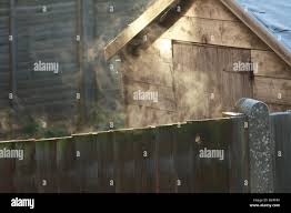 Steam rising from a frosty fence and garden shed in the early morning sun  Stock Photo - Alamy
