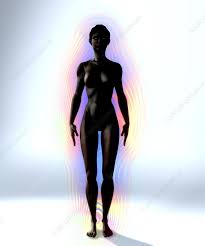 This diagram depicts picture of the female body 744×992 with parts and labels. Naked Woman S Body With Aura Artwork Stock Image P890 0677 Science Photo Library