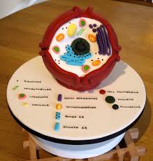Biology Cell Cake Cakecentral Com