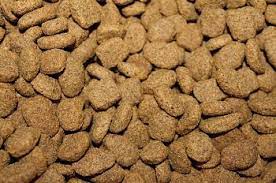 6 Best Dog Foods For Liver Disease Of 2021 Reviews Top Picks