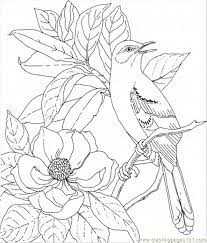 Page from the art of nature coloring book by adams media. Natural Scenery Nature Coloring Pages For Kids Drawing With Crayons