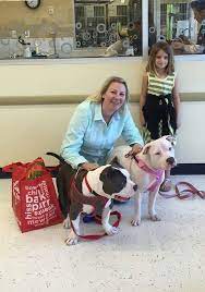 What we do forms and downloads contact us events faq's sponsors & donors photos adoptable animals adoption information. Rain Rescue Animals In Need