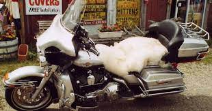 Motorcycle Seat Cover Customers Debby Doten Bruce White Meddibumps Me Motorcycle Riding Seat Cover