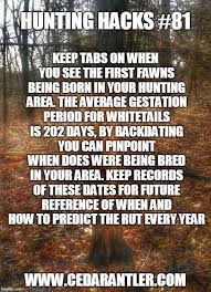 Timing The Rut Whitetail Deer Hunting Hunting Deer Hunting Tips