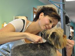 We treat client's dogs like our own. Puppy Love N Style Dog Grooming In Graham Nc
