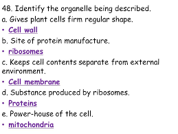 We did not find results for: 7a Mp3 Review Ppt 1 The Problem Of An Experiment Is In The Form Of A Question 2 A Is An Educated Guess To The Problem Of The Experiment Ppt Download