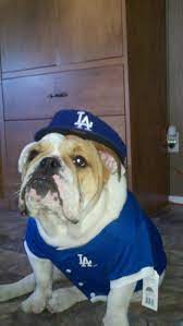 Patron Bulldog Biggest Dodger Fan Dodgers Fan Dodgers Bulldog