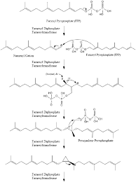 Cholesterol Wikipedia