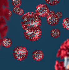 Danilo Manzano Archives