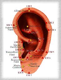 acupuncture com chinese medicine basics ear acupuncture