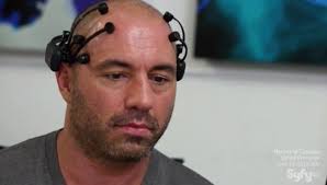Image result for Joe Rogan