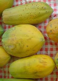 Papaye Wikipedia Papaye Fruits Exotiques Fruits