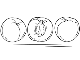 750 x 1000 jpeg 35 кб. Peaches Fruits Coloring Page Free Printable Coloring Pages For Kids