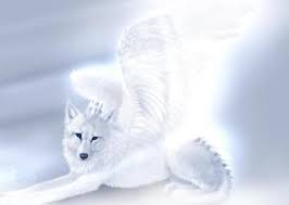 Anime Black And White Wolf With Wings Beautiful Wolves With Wings Animal Jpg White Wolf With Wings Image By Spirit Of The Wolves98 Wolf Pictures Fantasy Wolf Beautiful Wolves