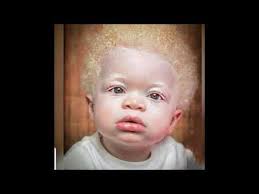 אסופת תמונות, בדיחות, אמירות, מיוחדים