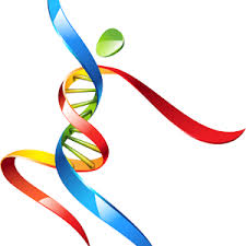 Media globulara a hemoglobinei (mch). Ce Ne Arata Raportul Volum Mediu Eritrocitar Din Cadrul Unei Hemoleucograme Youtube