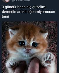 Yikikaeri Adli Kullanicinin Sjsjs Panosundaki Pin 2020 Komik Resimler Mizah Komik