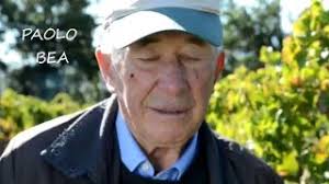 Your Guide to Great Summer Wines — Spectacular Sparkling, Rosé, White and  Red Picks