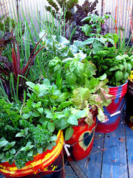 Check spelling or type a new query. The Best Vegetables And Herbs For Your Container Garden Hgtv