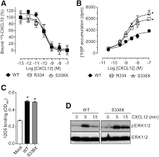 Andy fluor™ 405m is a blue fluorescent dye with excitation and emission wavelength at 405 and 450 nm. Cxcr4 Specific Nanobodies As Potential Therapeutics For Whim Syndrome Journal Of Pharmacology And Experimental Therapeutics