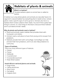 grade 4 natural science technology worksheets teacha