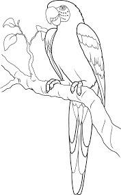 Dibujos De Loros Para Colorear