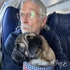 Butter Bean & Bosun, living that tour dog life 🎸 Soundcheck snoozes +  backstage belly rubs = pure joy 🐾 Who's a good boy? (Spoiler: they both  are!) JT