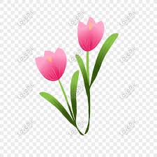 Tidak aneh jika bunga ini memiliki kecantikan dan keindahan yang terpancar pada setiap warnanya. Pink Tulip Flowers Png Image Picture Free Download 401232764 Lovepik Com