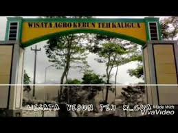 We did not find results for: Wisata X Gua Yang Paling Asyik Gerai News