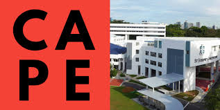 The asian leadership academy organized by jci singapore is a gathering of young active citizens all over asean plus other asian friends from india, bangladesh, sri lanka, hong kong, japan and. Statement By Cape On Sji Vice Principal S Comments On Activism In Singapore The Online Citizen Asia