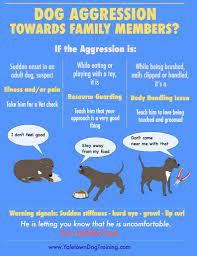She was responsive (we set a date within 30 mins of my outreach). How To Stop Dog Food Aggression Towards Other Dogs Aggressive Dog Dog Clicker Training Training Your Dog