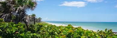 ﻿hiring a reliable limo service in orlando is key for your special day. Hiking Vero Beach Biking Paddling Camping Florida Hikes