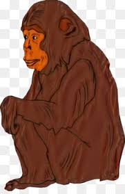 Explore and download more than million+ free png transparent images. Orangutan Unduh Gratis Orangutan Gorila Tiger Orangutan Gambar Png
