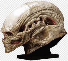 Alien Prop Replica Sideshow Collectibles Theatrical Property Predator Alien Head Mask Extraterrestrial Life Png Pngwing Similar with alien face png. alien prop replica sideshow