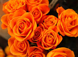 Check spelling or type a new query. Next Day Flower Delivery For Mother S Day The European Business Review