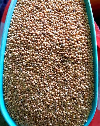 Mukombi
