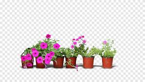 This tiered patio wood planter is a fabulous way to border a deck in small backyard. Pink Petaled Flowers On Pots Real Flower Pots Glass Flower Arranging Png Pngegg