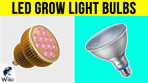 10 Best Led Grow Light Bulbs 2019 Youtube