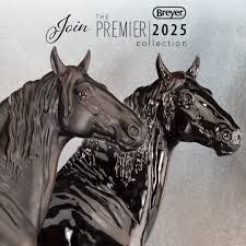 Image result for Thesium breyeri