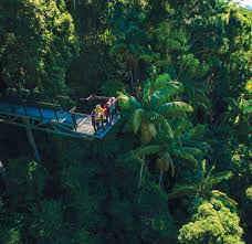 5% coupon applied at checkout. Tamborine Mountain Rainforest Skywalk