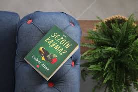 Geber Anne 2020 Kitap Okuma Hayranlik