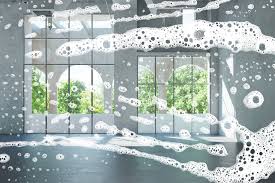 Seeing Clearly: A Guide to Sparkling Windows  pen_spark