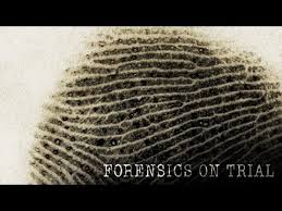 Forensics On Trial Nova Pbs Documentary Youtube Forensics Forensic Science Forensic Psychology