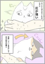 twitter in 2021 haikyuu anime haikyuu funny haikyuu