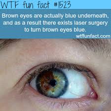 We did not find results for: Brown Eyes Are Actually Blue Wtffunfacts