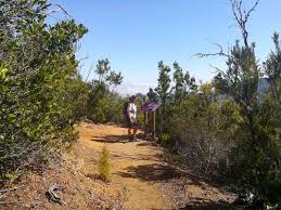There are many recreational activities throughout the kisatchie national forest. Hiking In La Gomera Why You Ll Want To Do A 7 Day Self Guided Hike