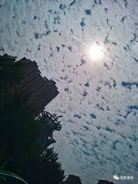 1:page7.pw 2:rain3.info 3:that2.info 4:k.poo.li 5:c.800.my. è¯¸åŸŽä¸Šç©ºå‡ºçŽ° åœ°éœ‡äº' æ˜¯è¦åœ°éœ‡çš„å‰å…†å— æ–‡ç« è¯¦æƒ… æ·±åº¦è¯¸åŸŽç½'