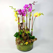 Maybe you would like to learn more about one of these? Miami Florist Flower Delivery By Andres Aguilar Designs